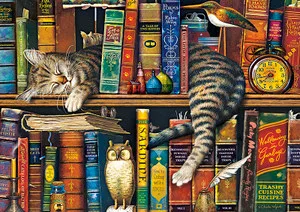 Charles Wysocki Frederick The Literate puzzle