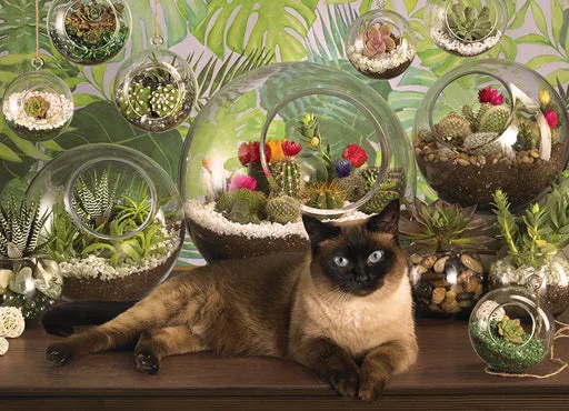 Terrarium 1000 piece puzzle