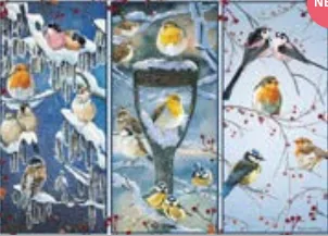 Otter House Snowy Garden Birds — manufacturer catalogue image