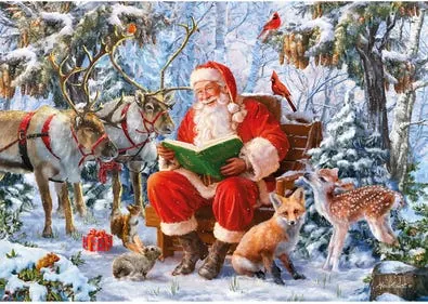 Wentworth Wooden Puzzles Christmas Curiosity — manufacturer image